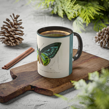 Green Birdwing by Charles Dessalines D' Orbigny Colorful Mugs, 11oz