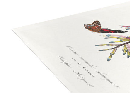 Hummingbird by Paul Gervais Postcards (envelopes included) - Bundles of 10, 30, 50 Pieces