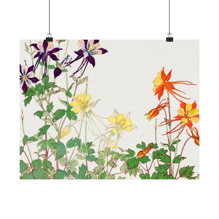 Aquilegia Flower by Tanigami Kônan Premium Matte horizontal posters