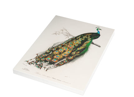 Indian Peafowl by Charles Dessalines D'Orbigny Postcards (envelopes included) - Bundles of 10, 30, 50 Pieces