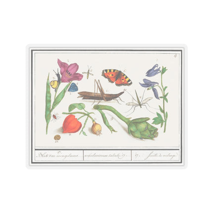 Natural History Ensemble, No. 17 by Anselmus Boëtius de Boodt Kiss-Cut Stickers (4 Sizes)