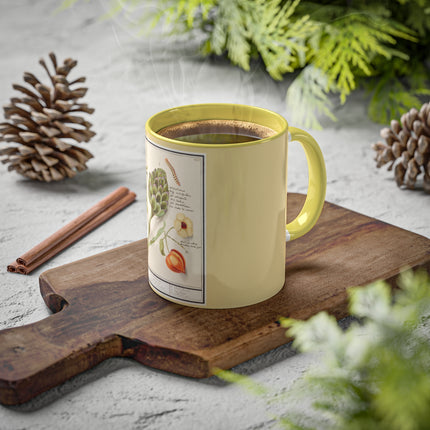 Artichoke, Broad Beans, and Lantern Plant by Anselmus Boëtius de Boodt Colorful Mugs, 11oz