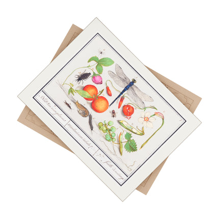 Natural History Ensemble, No. 7 Ceramic Tile