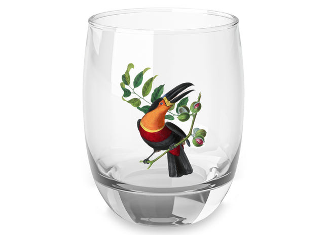 Channel Billed Toucan by Paul Gervais Whiskey Glass