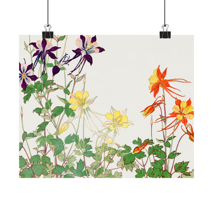 Aquilegia Flower by Tanigami Kônan Premium Matte horizontal posters