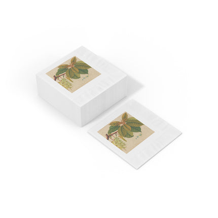 Album of watercolors of Asian fruits and flowers Pl.03 by Anonymous White Coined Napkins