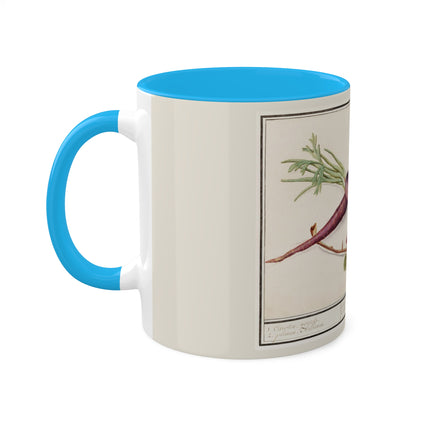 Carrot, Daucus Carota and Red currant, Ribes rubrum by Anselmus Boëtius de Boodt Colorful Mugs, 11oz