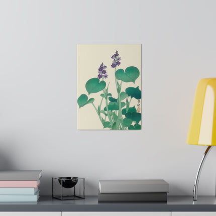 Blooming Hosta by Ohara Koson – Japanese Botanical Elegance