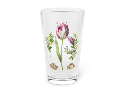 Tulip, Branches of Myrtle and Shells by Maria Sibylla Merian Glass, 16oz