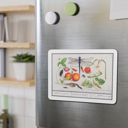 Natural History Ensemble, No. 7 Die-Cut Magnets (5 Sizes)