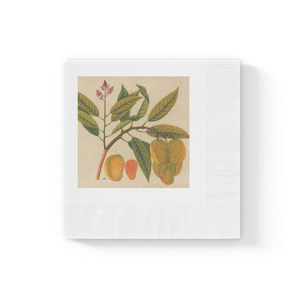 Album of watercolors of Asian fruits and flowers Pl.21 by Anonymous White Coined Napkins