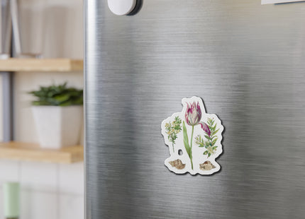 Tulip, Branches of Myrtle, and Shells by Maria Sibylla Merian Die-Cut Magnets (5 Sizes)