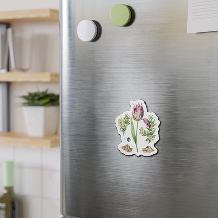 Tulip, Branches of Myrtle, and Shells by Maria Sibylla Merian Die-Cut Magnets (5 Sizes)