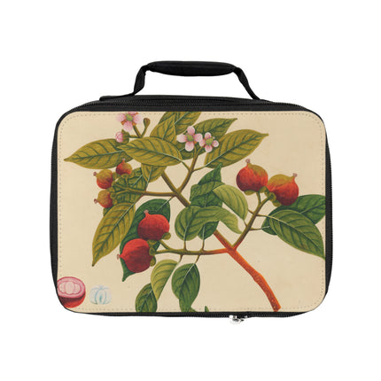 Album of watercolors of Asian fruits and flowers Pl.17 by Anonymous Lunch Bag