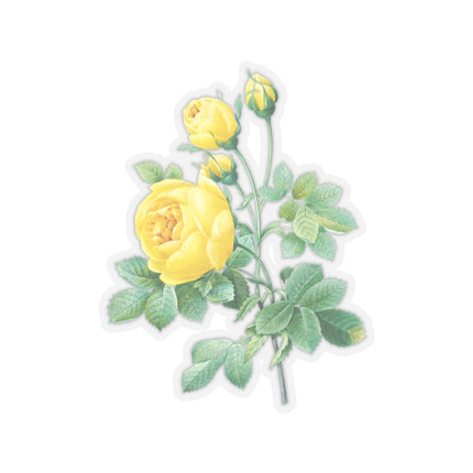 Yellow Rose Botanical Illustration by Pierre-Joseph Redouté Kiss-Cut Stickers (4 Sizes)