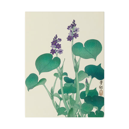 Blooming Hosta by Ohara Koson – Japanese Botanical Elegance