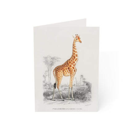 Giraffe by Charles Dessalines D' Orbigny Greeting Cards (1, 10, 30, and 50pcs)