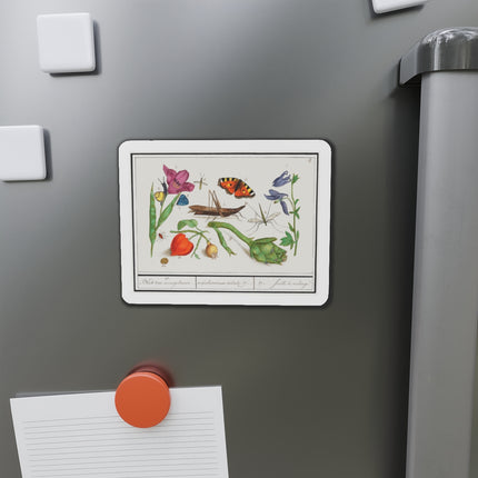 Natural History Ensemble, No. 17 Die-Cut Magnets (5 Sizes)
