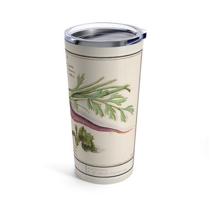 Carrot, Daucus carota and red currant, Ribes rubrum by Anselmus Boëtius de Boodt Tumbler 20oz