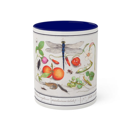 Natural History Ensemble, No. 7 by Anselmus Boëtius de Boodt Colorful Mugs, 11oz