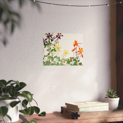 Aquilegia Flower by Tanigami Kônan Premium Matte horizontal posters