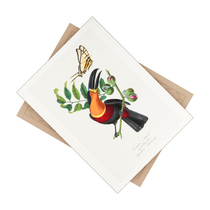 Channel Billed Toucan by Paul Gervais Ceramic Tile