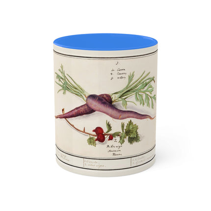 Carrot, Daucus Carota and Red currant, Ribes rubrum by Anselmus Boëtius de Boodt Colorful Mugs, 11oz