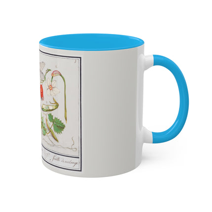Natural History Ensemble, No. 7 by Anselmus Boëtius de Boodt Colorful Mugs, 11oz