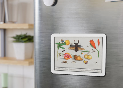 Natural History Ensemble, No. 1 Die-Cut Magnets (5 Sizes)