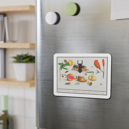 Natural History Ensemble, No. 1 Die-Cut Magnets (5 Sizes)