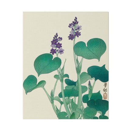 Blooming Hosta by Ohara Koson – Japanese Botanical Elegance