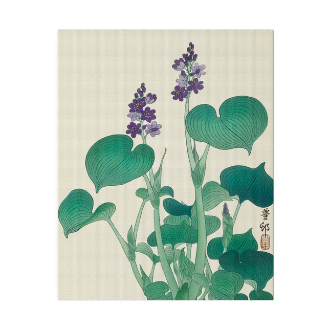 Blooming Hosta by Ohara Koson – Japanese Botanical Elegance