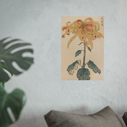 Chrysanthemum Grace Fine Art Poster
