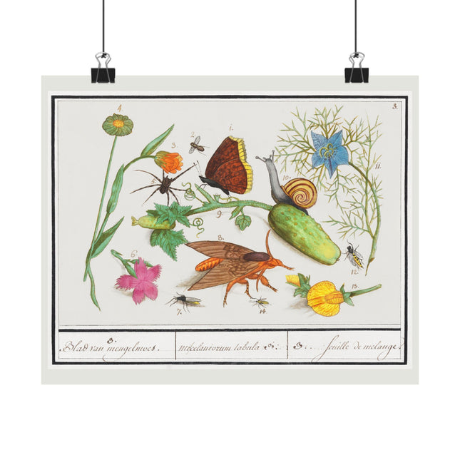 Natural History Ensemble, no. 3 by Anselmus Boëtius de Boodt Matte Horizontal Posters