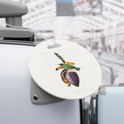 Treecreeper by Paul Gervais Luggage Tag – Rectangle & Round