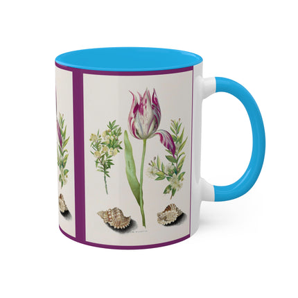 Tulip, Branches of Myrtle and Shells by Maria Sibylla Merian Colorful Mugs, 11oz