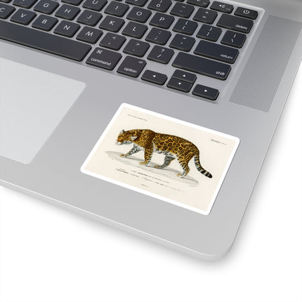 Jaguar by Charles Dessalines D' Orbigny Kiss-Cut Stickers (4 Sizes)