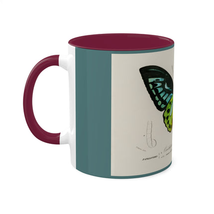 Green Birdwing by Charles Dessalines D' Orbigny Colorful Mugs, 11oz