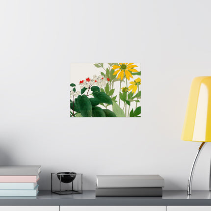 Clerodendrum & Rudbeckia by Tanigami Kônan Premium Matte Horizontal Posters