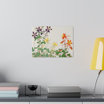 Aquilegia Flower by Tanigami Kônan – Japanese Botanical Art