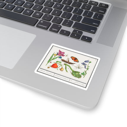 Natural History Ensemble, No. 17 by Anselmus Boëtius de Boodt Kiss-Cut Stickers (4 Sizes)