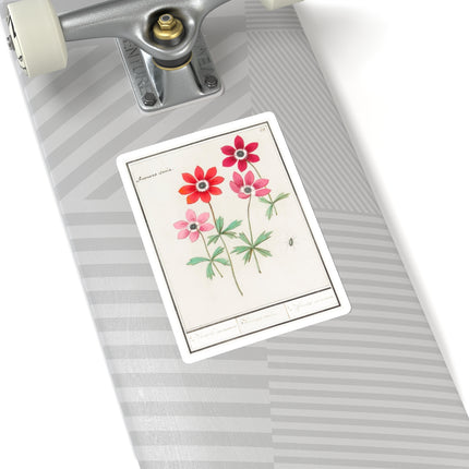 Anemoon, Anemone by Anselmus Boëtius de Boodt Kiss-Cut Stickers (4 Sizes)