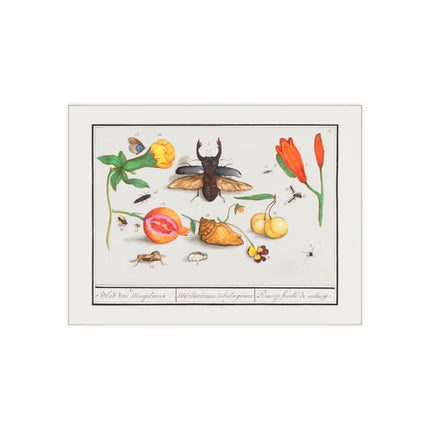 Natural History Ensemble, No. 1 Ceramic Tile
