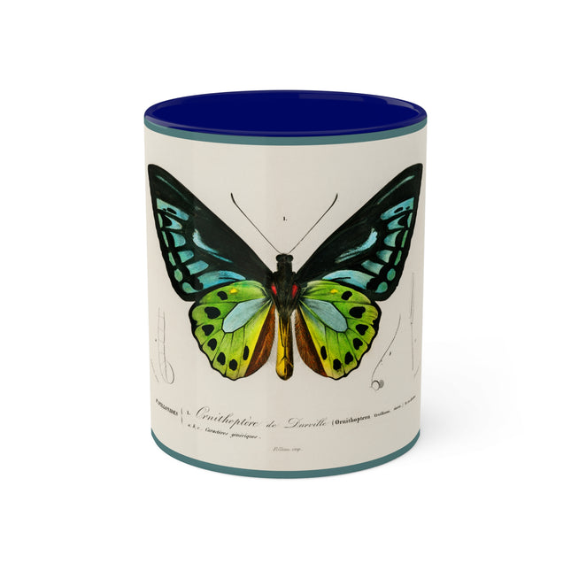 Green Birdwing by Charles Dessalines D' Orbigny Colorful Mugs, 11oz