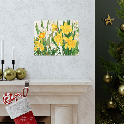 Daffodil by Tanigami Kônan Premium Matte horizontal posters