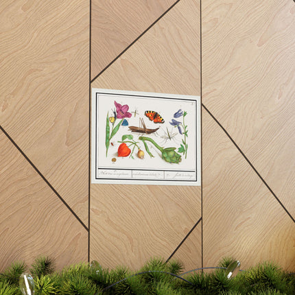 Natural History Ensemble, No. 17 by Anselmus Boëtius de Boodt Matte Horizontal Posters