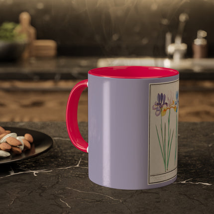 Iris, Iris sibirica by Anselmus Boëtius de Boodt Colorful Mugs, 11oz