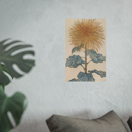 Chrysanthemum Harmony Fine Art Poster