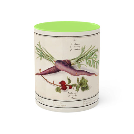 Carrot, Daucus Carota and Red currant, Ribes rubrum by Anselmus Boëtius de Boodt Colorful Mugs, 11oz