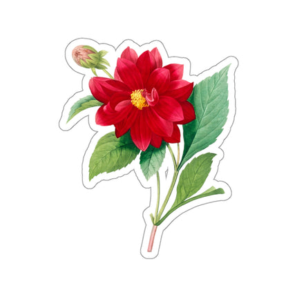 Dahlia botanical illustration by Pierre-Joseph Redouté Kiss-Cut Stickers (4 Sizes)